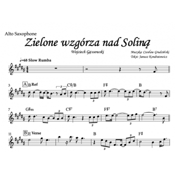 Zielone wzgórza nad Soliną, Wojciech Gąssowski - Alto Saxophone (Eb-Instrument)